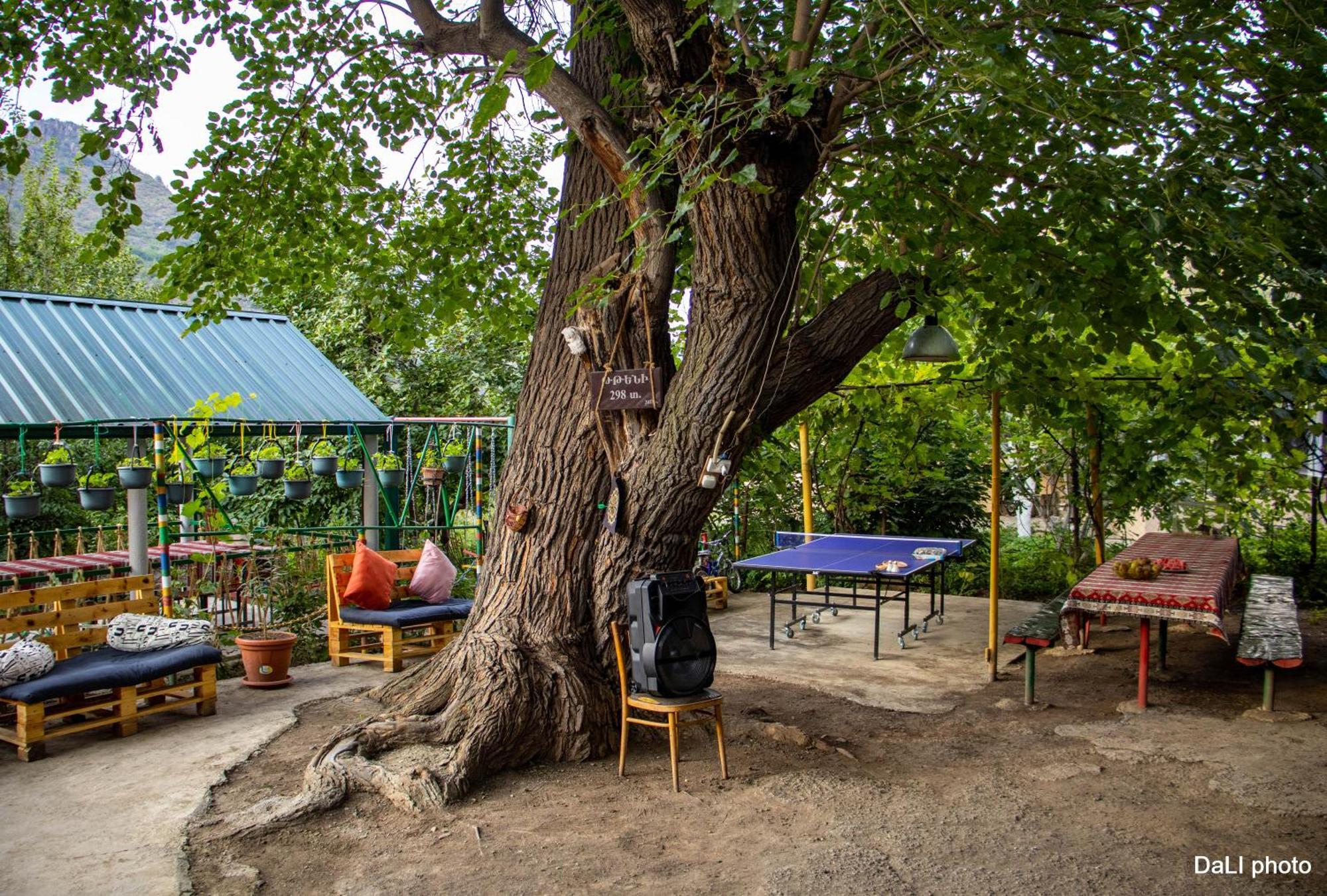 Tereza Glamping Hotel Sanain Exterior photo